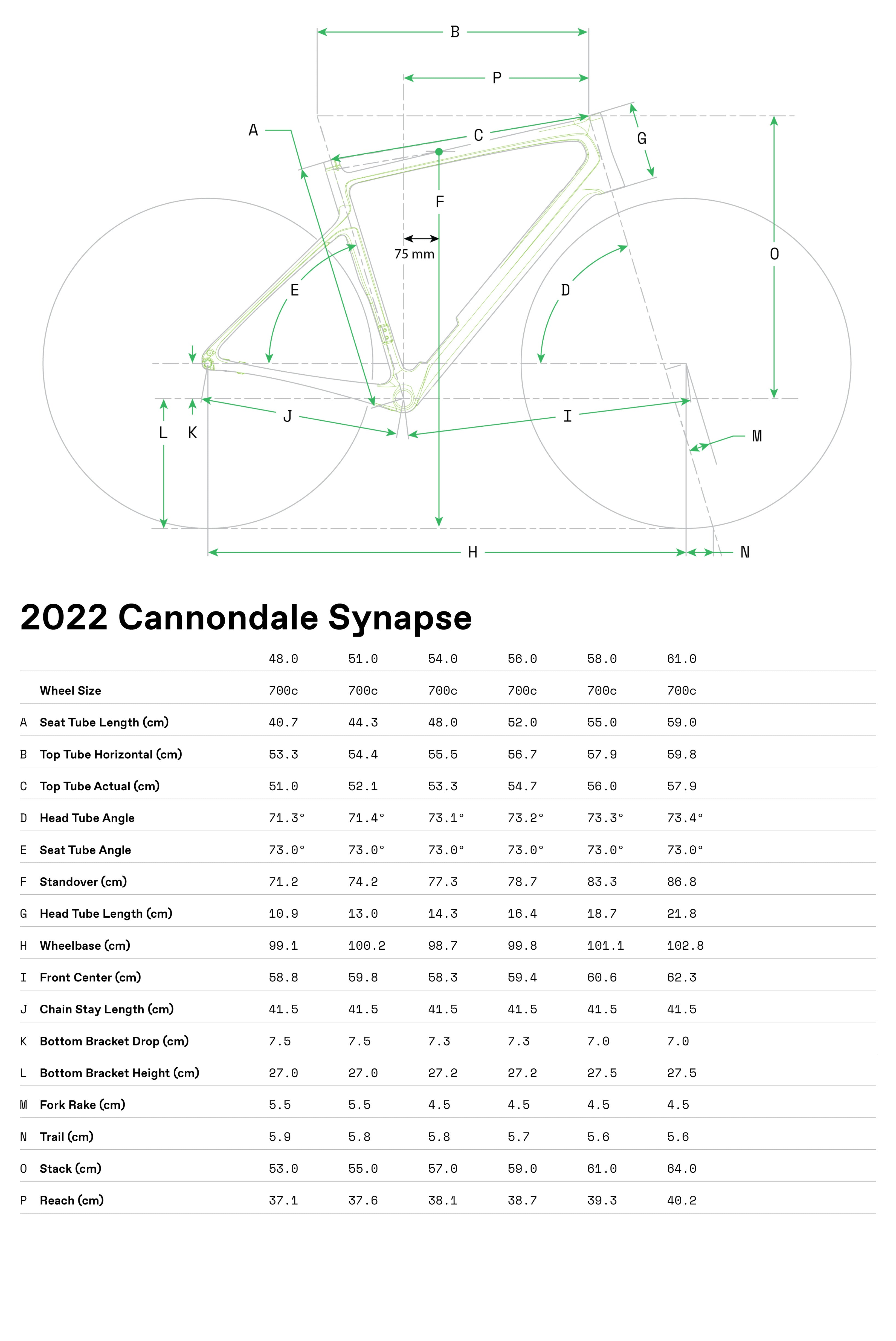 Synapse Carbon 2 RLE Cannondale 2024 Cool Mint #8