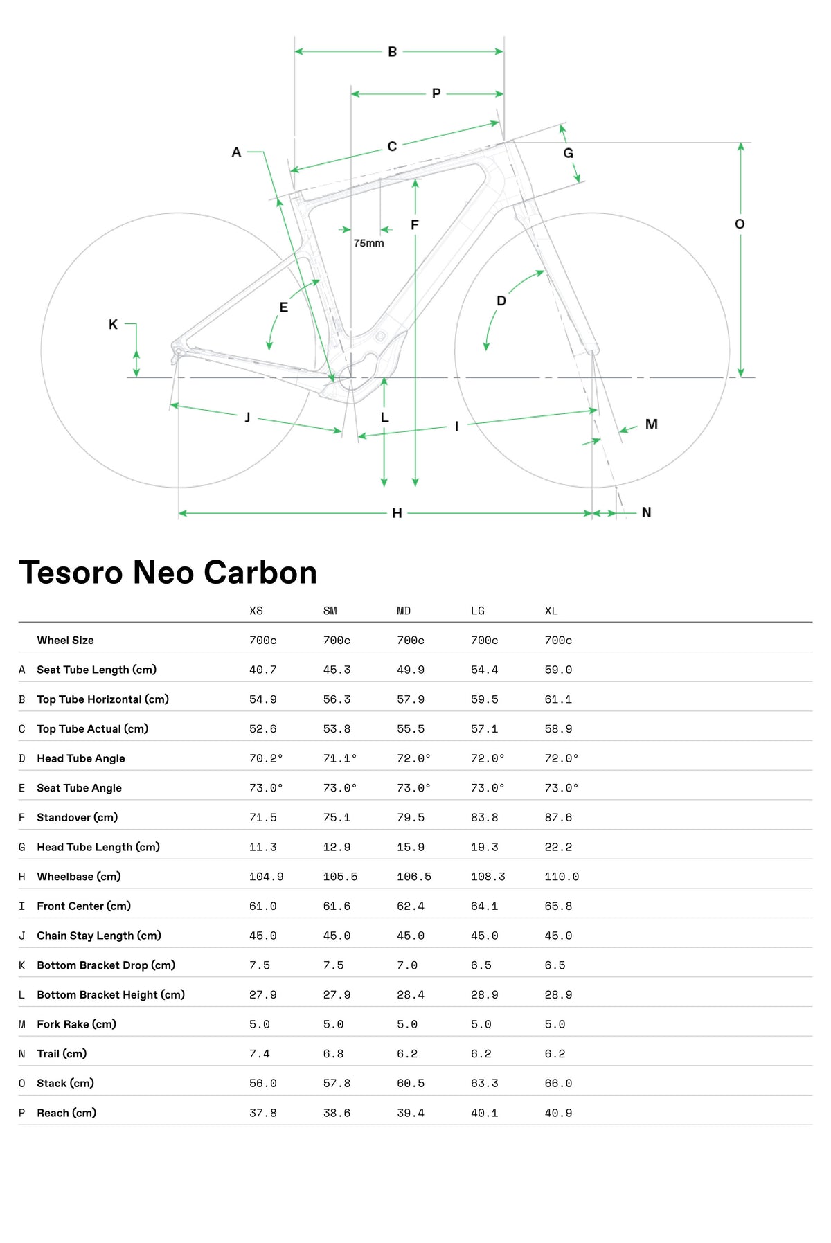 Tesoro Neo Carbon 2 Cannondale 2024 Storm Cloud #3