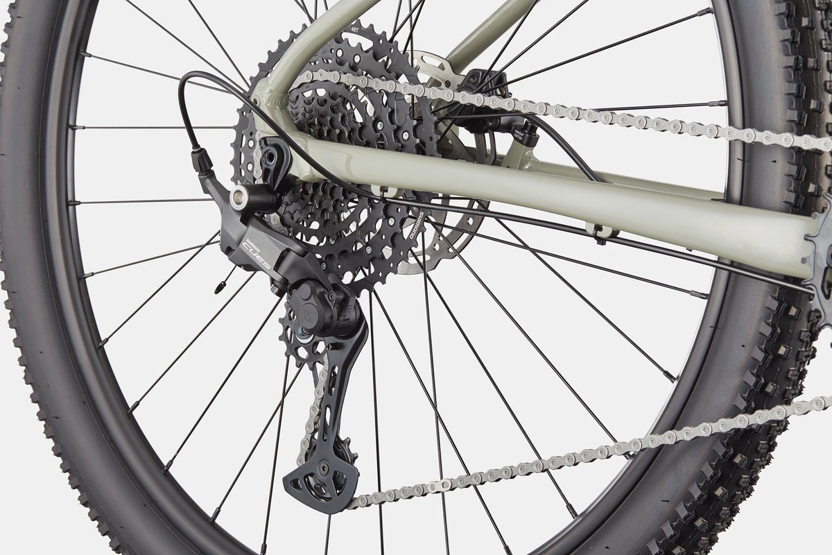 Trail 1 Cannondale 2025 Tiger Shark #6
