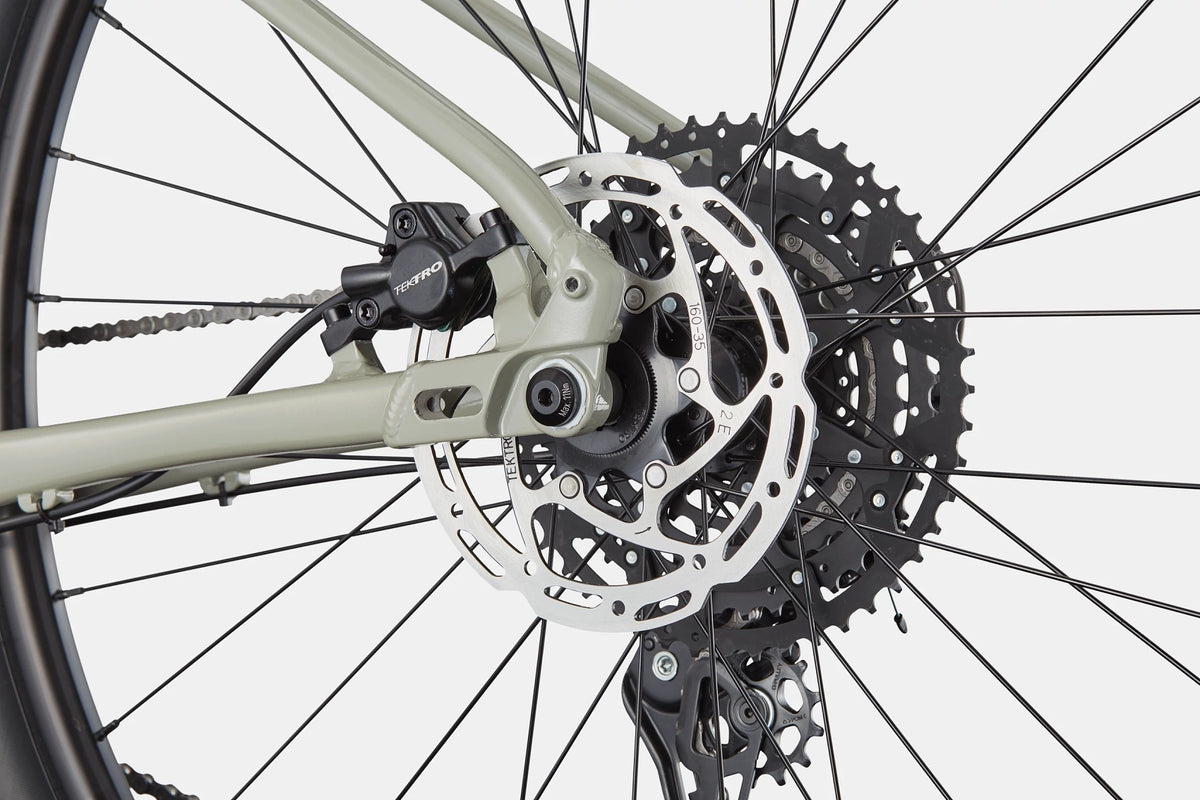 Trail 1 Cannondale 2025 Tiger Shark #7