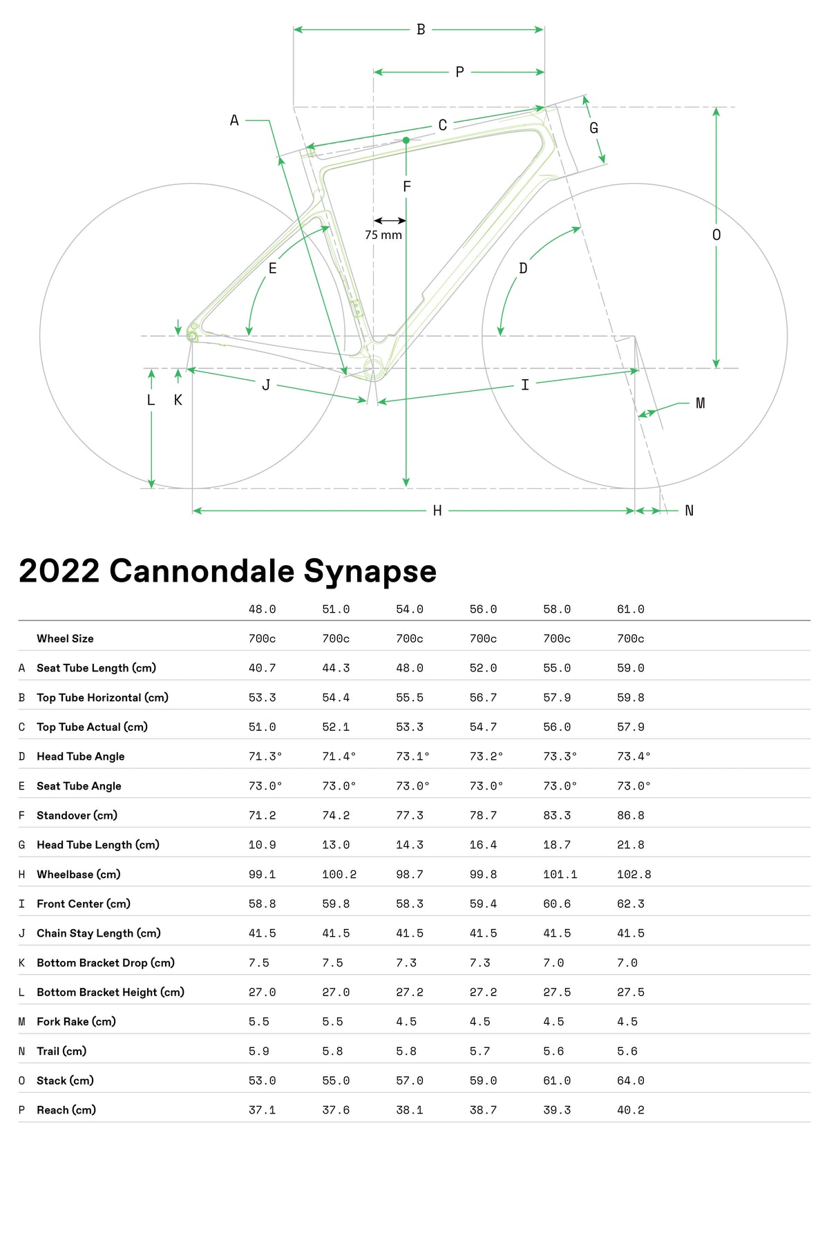 Synapse Carbon 2 RLE Cannondale 2024 Grey #8